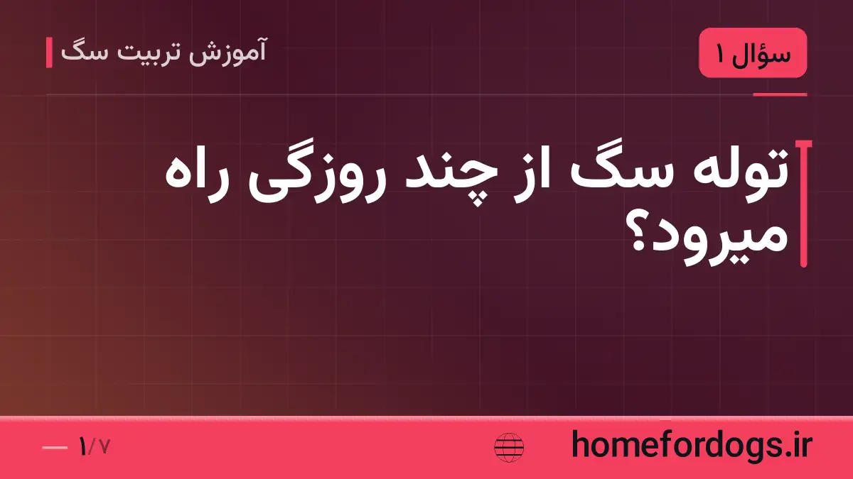 توله سگ از چند روزگی راه میرود؟