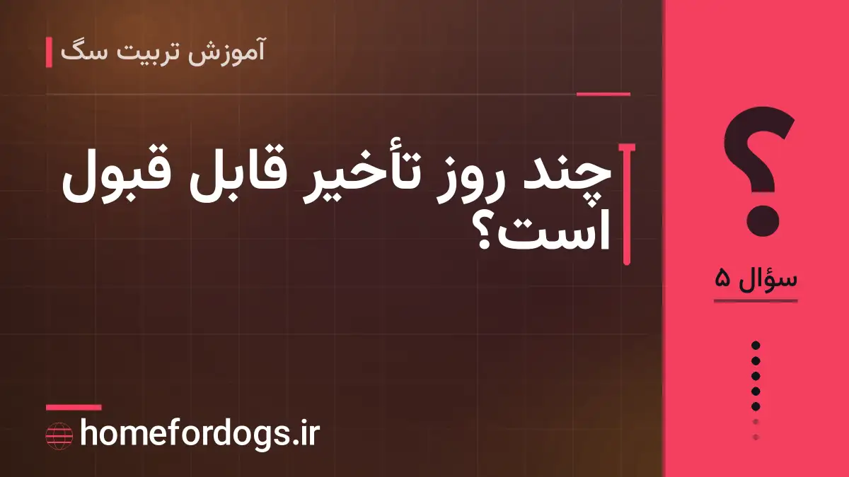 چند روز تأخیر قابل قبول است؟