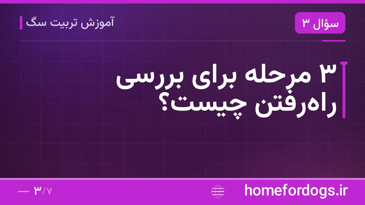 ۳ مرحله برای بررسی راه‌رفتن چیست؟