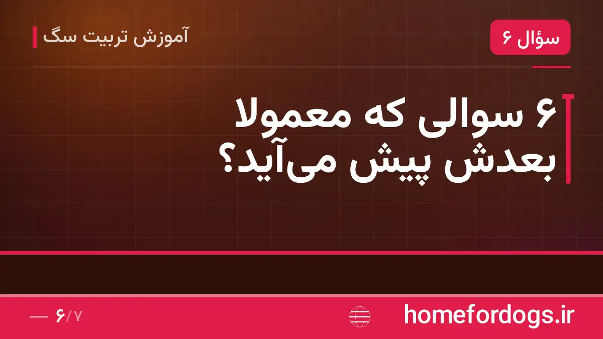 ۶ سوالی که معمولاً بعدش پیش میآید؟