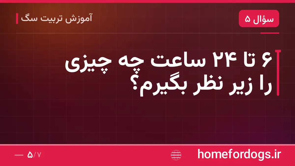 ۶ تا ۲۴ ساعت چه چیزی را زیر نظر بگیرم؟