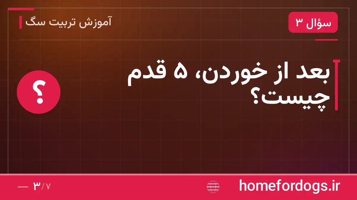بعد از خوردن، ۵ قدم چیست؟