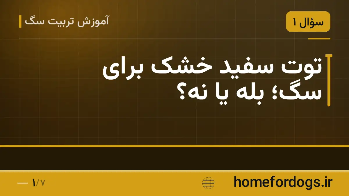 توت سفید خشک برای سگ؛ بله یا نه؟