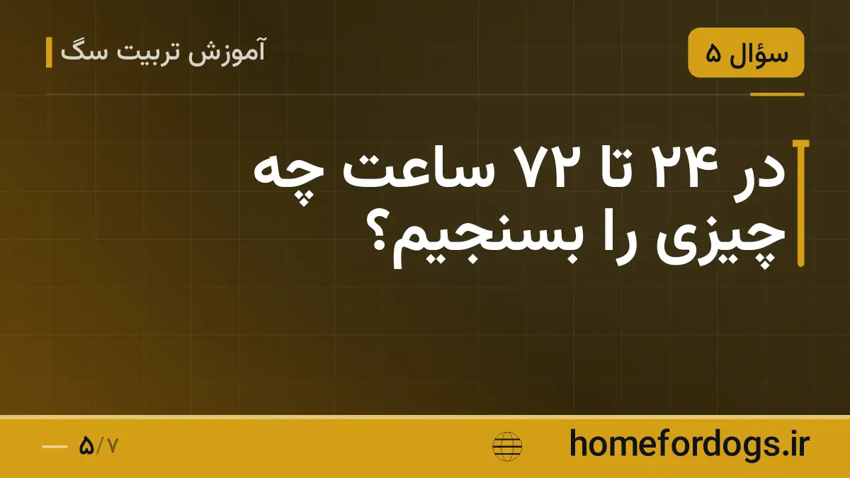 در ۲۴ تا ۷۲ ساعت چه چیزی را بسنجیم؟