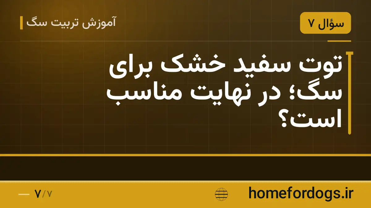 توت سفید خشک برای سگ؛ در نهایت مناسب است؟