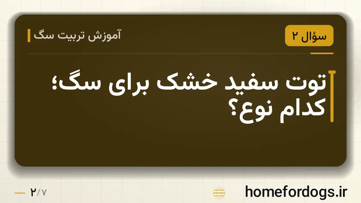 توت سفید خشک برای سگ؛ کدام نوع؟