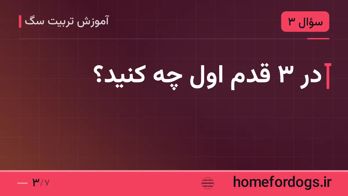 در ۳ قدم اول چه کنید؟