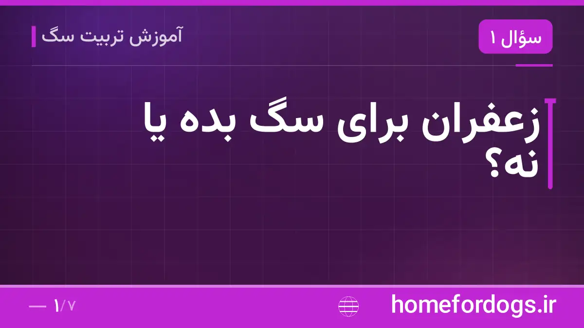 زعفران برای سگ بده یا نه؟