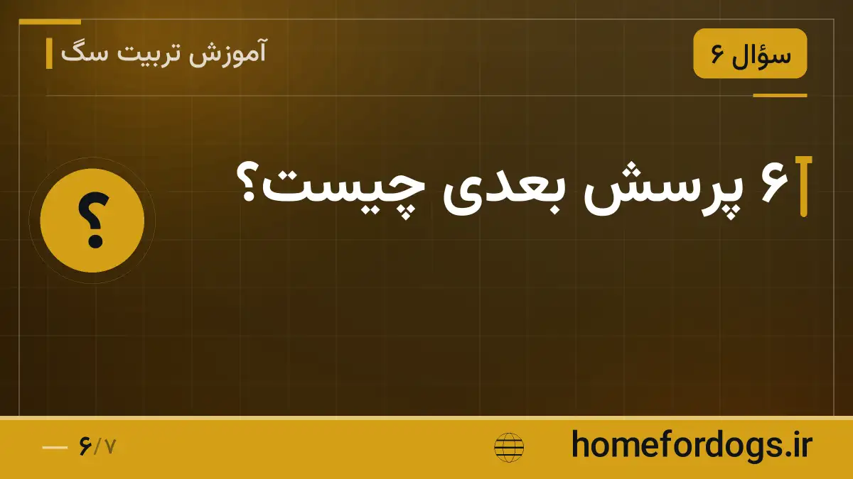۶ پرسش بعدی چیست؟