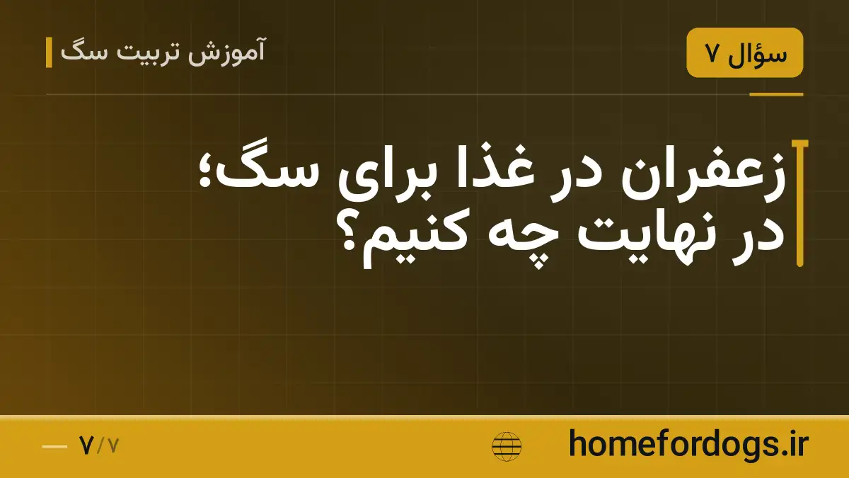زعفران در غذا برای سگ؛ در نهایت چه کنیم؟