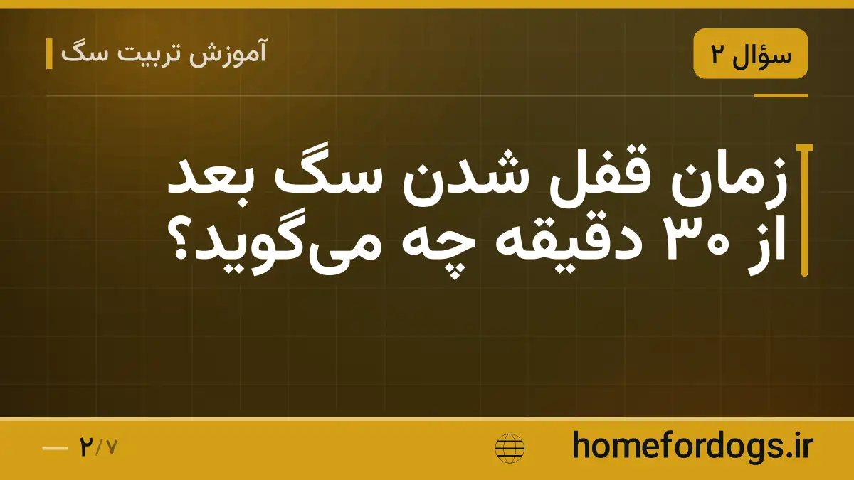 زمان قفل شدن سگ بعد از ۳۰ دقیقه چه می‌گوید؟