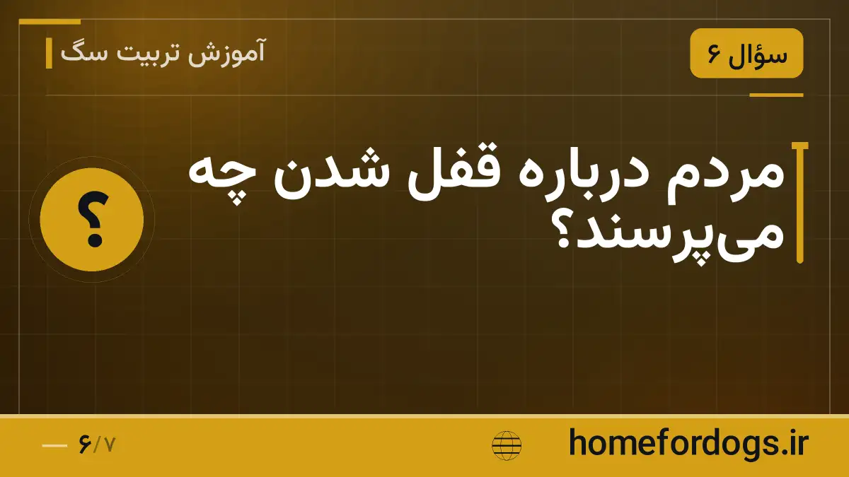 مردم دربارهٔ قفل شدن چه می‌پرسند؟