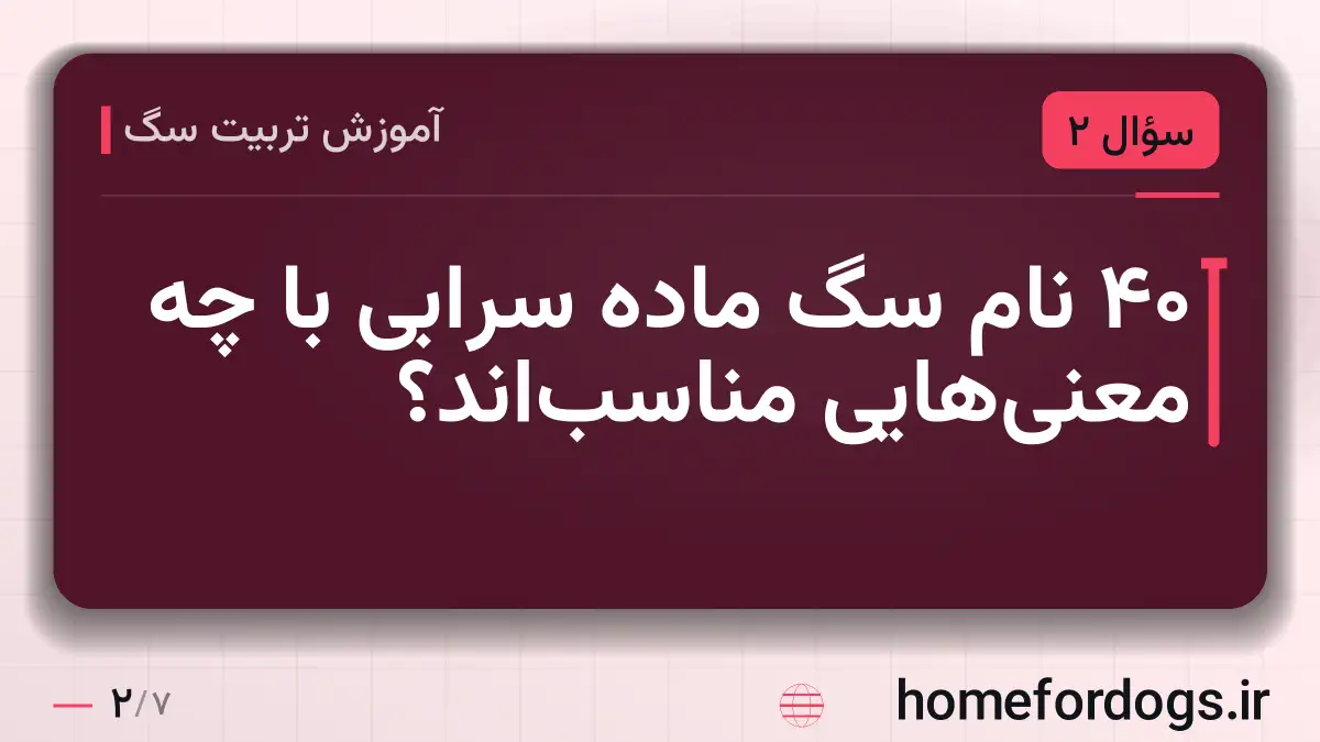 ۴۰ نام سگ ماده سرابی با چه معنیهایی مناسباند؟