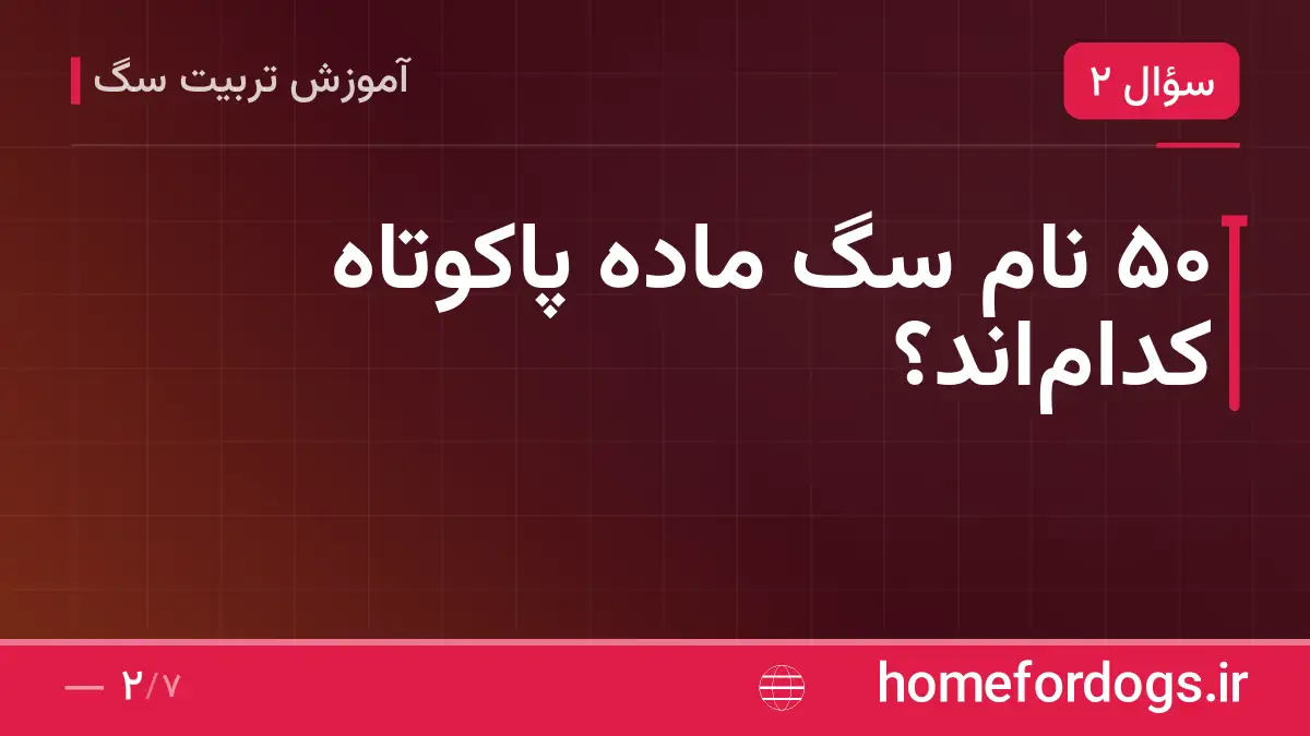 ۵۰ نام سگ ماده پاکوتاه کدام‌اند؟
