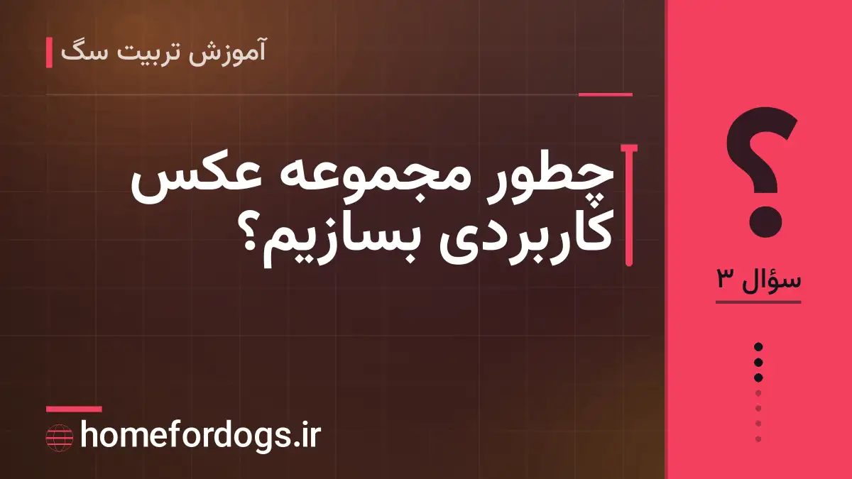 چطور مجموعه عکس کاربردی بسازیم؟