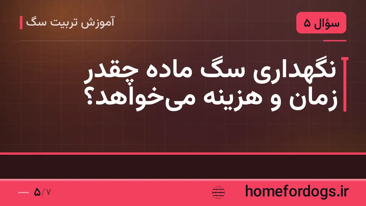 نگهداری سگ ماده چقدر زمان و هزینه می‌خواهد؟