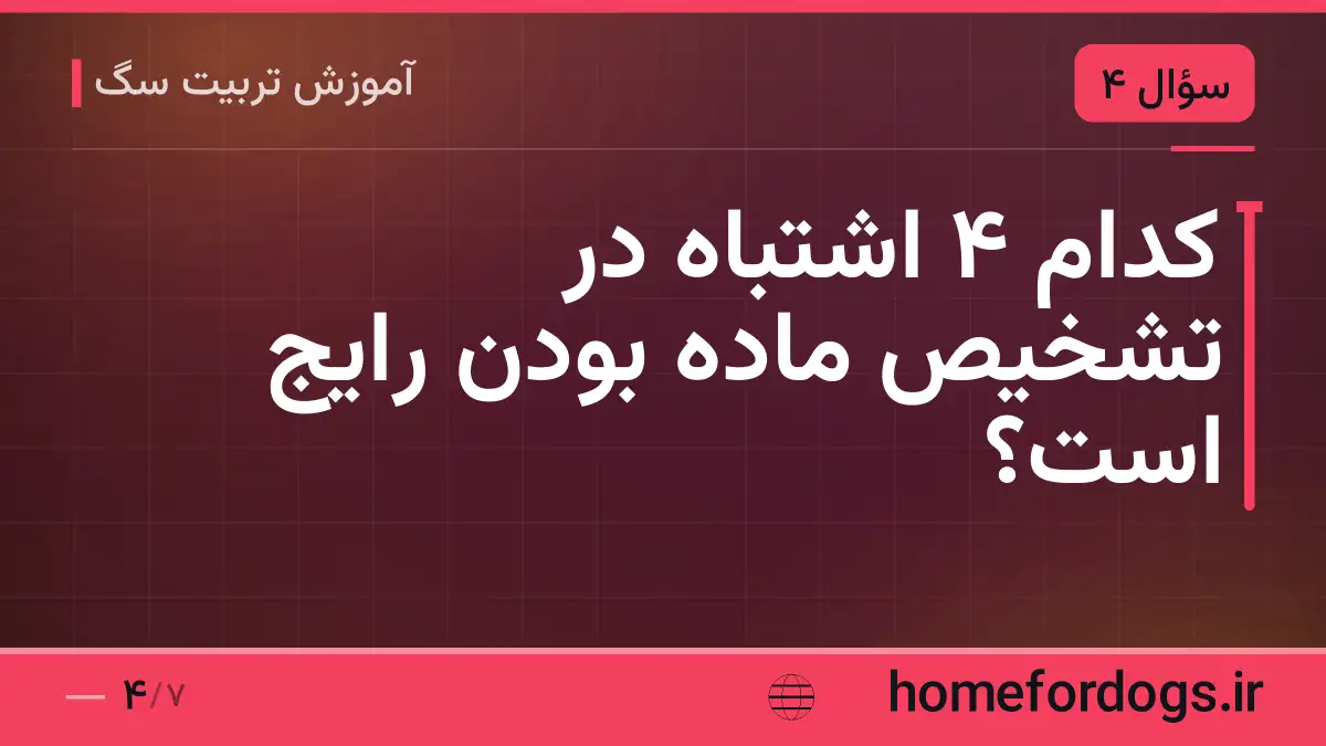 کدام ۴ اشتباه در تشخیص ماده بودن رایج است؟