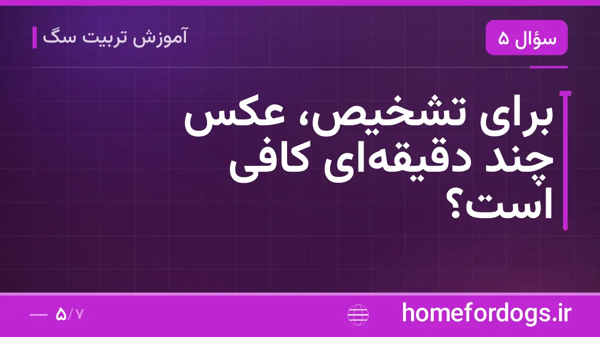 برای تشخیص، عکس چند دقیقهای کافی است؟