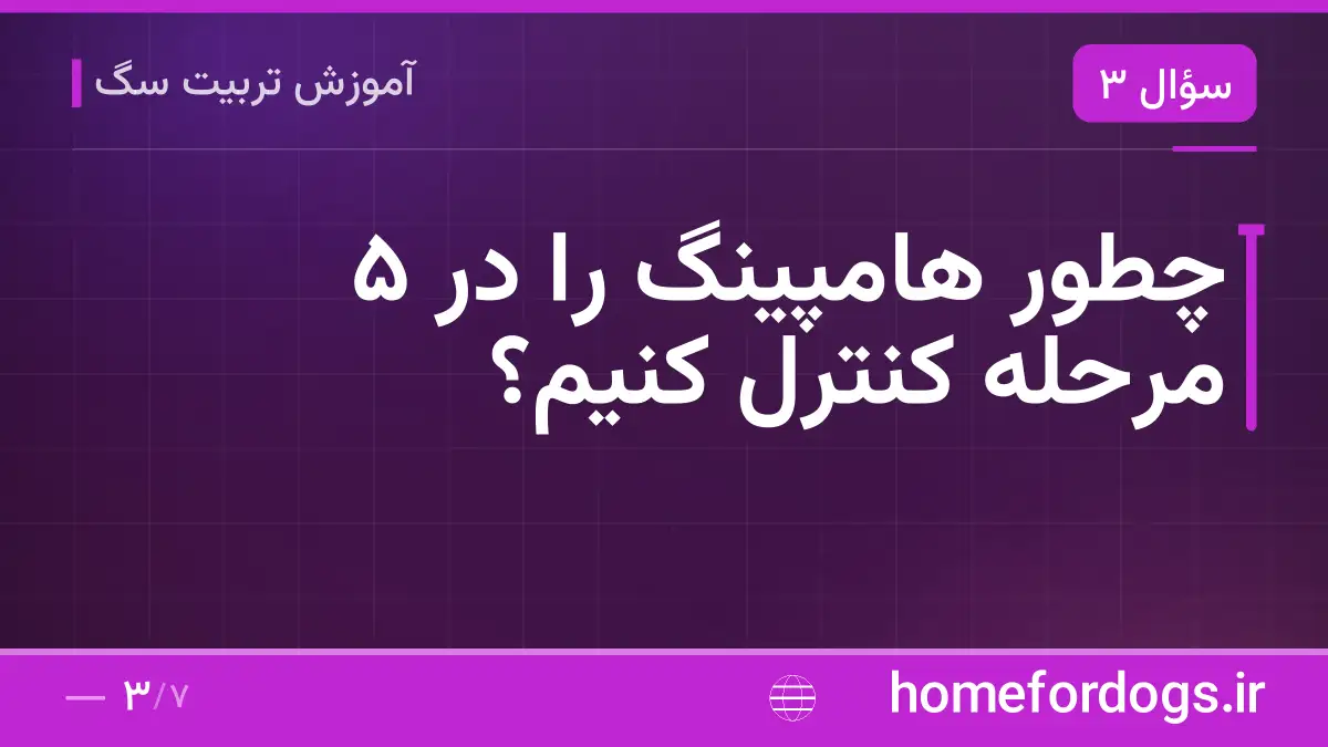 چطور هامپینگ را در ۵ مرحله کنترل کنیم؟