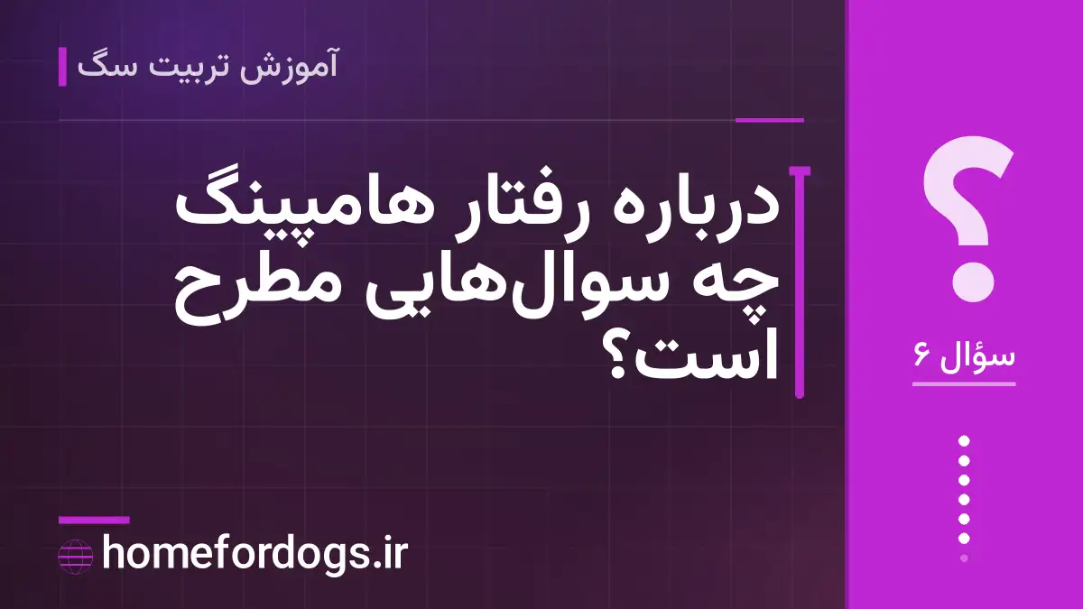 درباره رفتار هامپینگ چه سوالهایی مطرح است؟