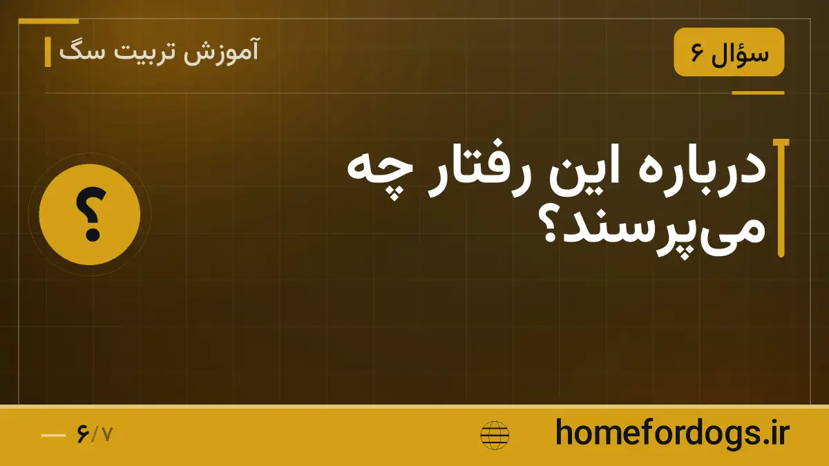 درباره این رفتار چه میپرسند؟