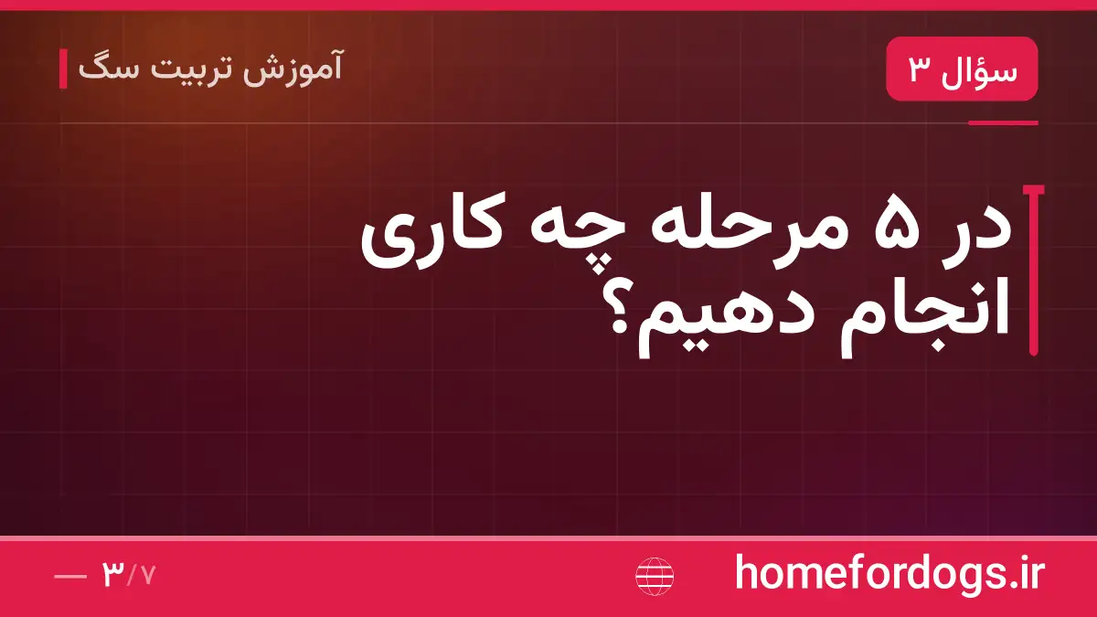 در ۵ مرحله چه کاری انجام دهیم؟
