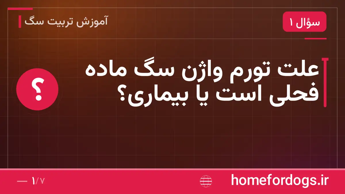 علت تورم واژن سگ ماده فحلی است یا بیماری؟