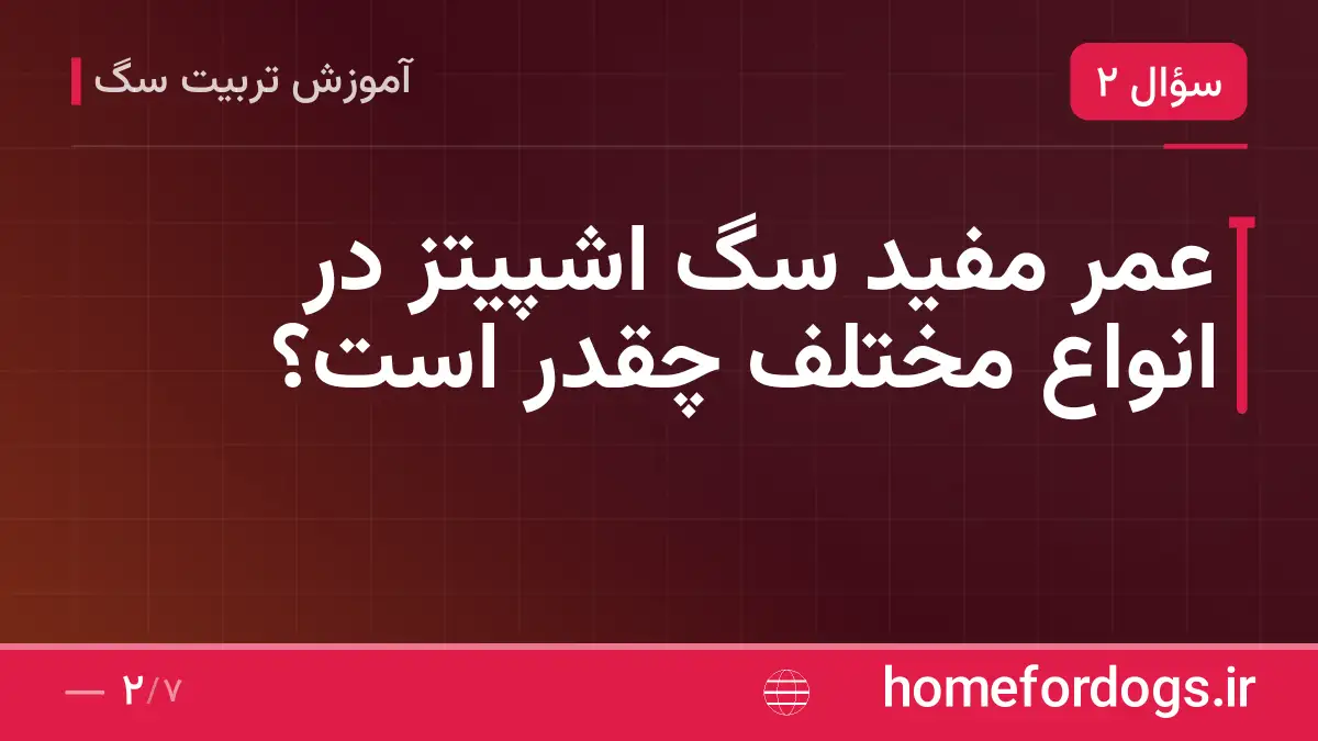عمر مفید سگ اشپیتز در انواع مختلف چقدر است؟