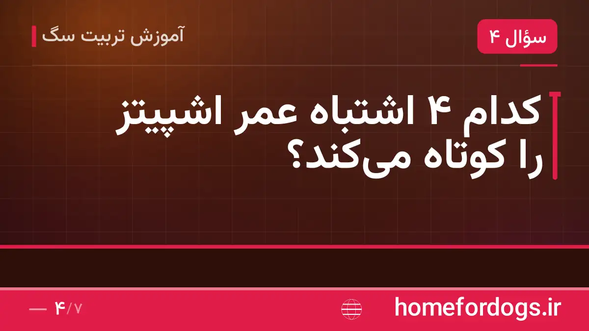کدام ۴ اشتباه عمر اشپیتز را کوتاه می‌کند؟