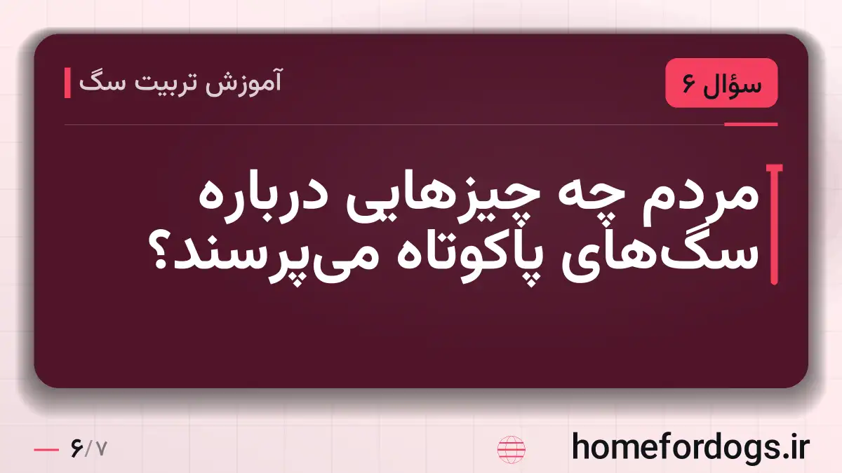 مردم چه چیزهایی درباره سگ‌های پاکوتاه می‌پرسند؟