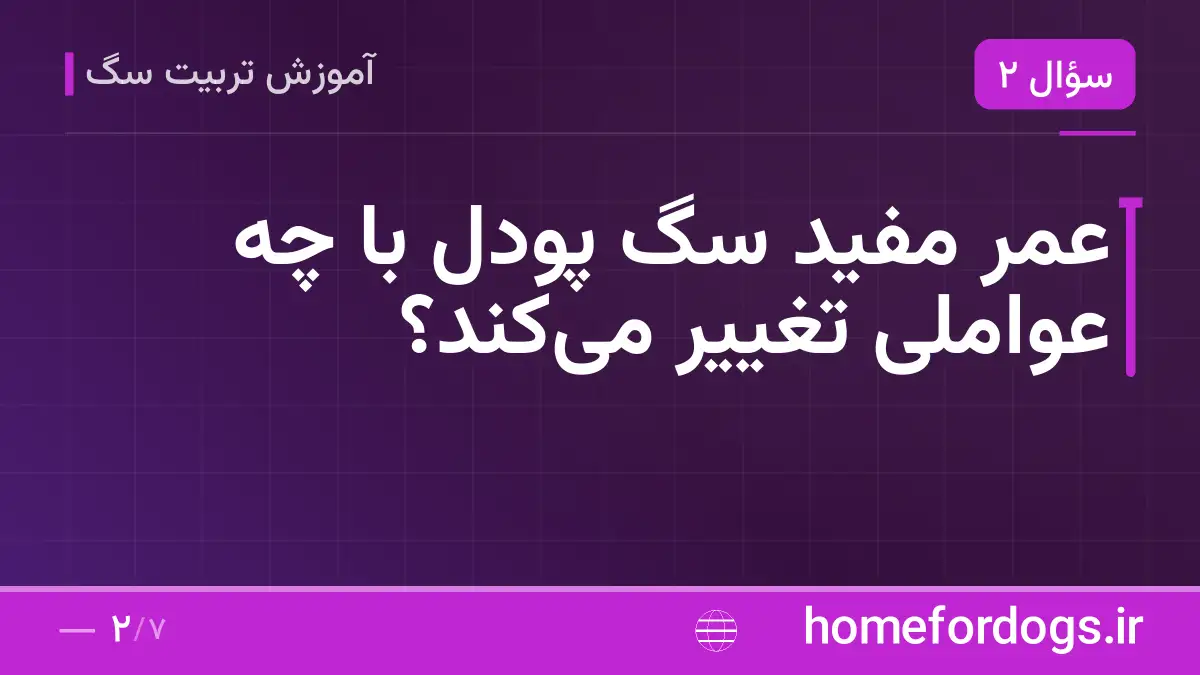 عمر مفید سگ پودل با چه عواملی تغییر می‌کند؟