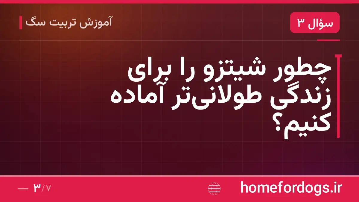 چطور شیتزو را برای زندگی طولانی‌تر آماده کنیم؟