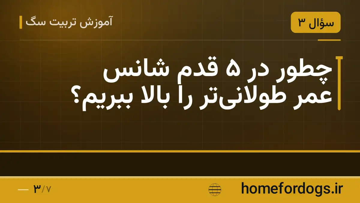 چطور در ۵ قدم شانس عمر طولانی‌تر را بالا ببریم؟