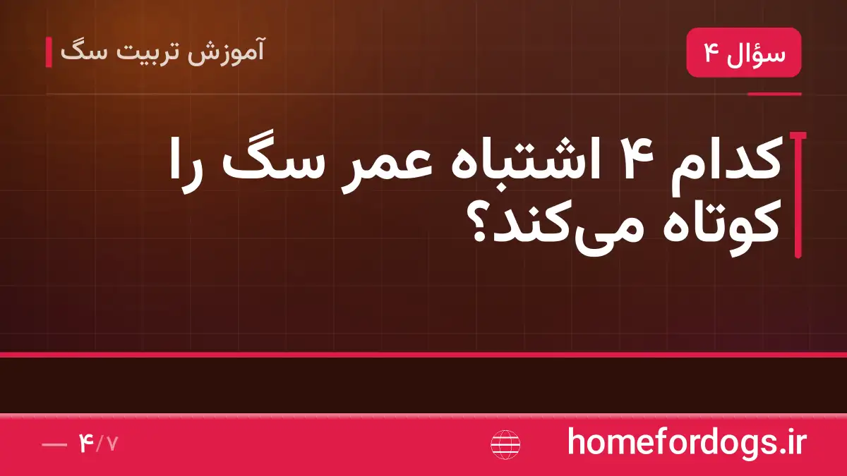 کدام ۴ اشتباه عمر سگ را کوتاه می‌کند؟