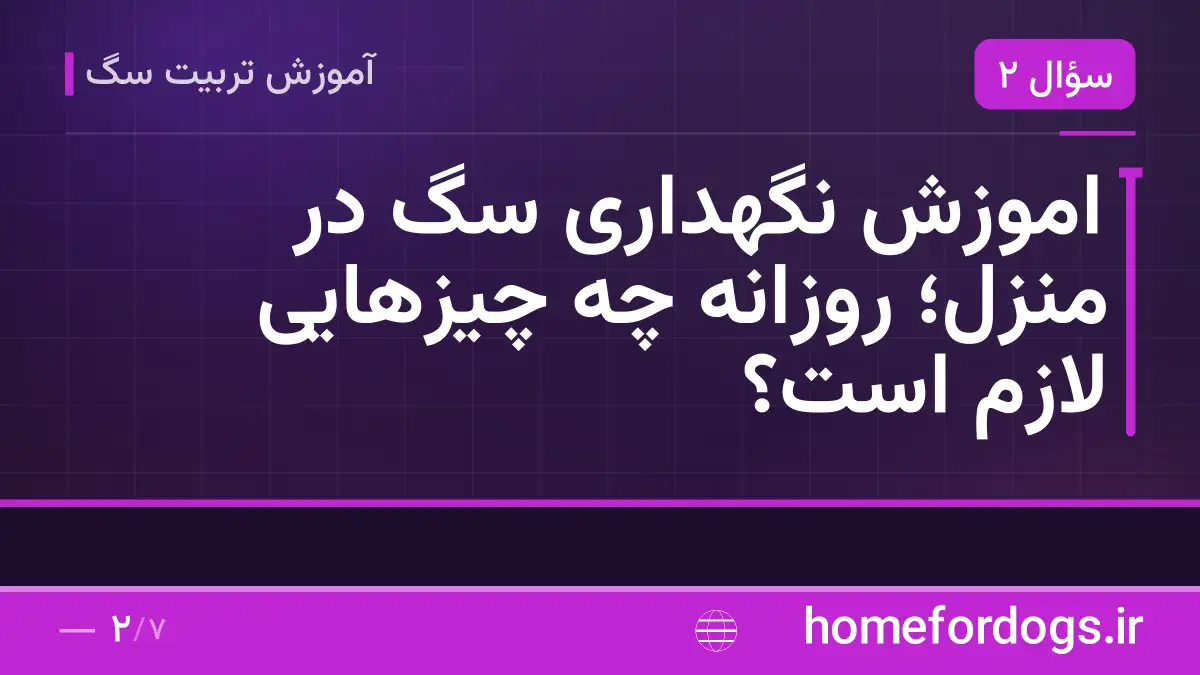 اموزش نگهداری سگ در منزل؛ روزانه چه چیزهایی لازم است؟
