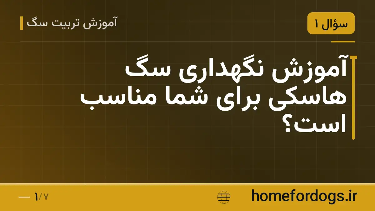 آموزش نگهداری سگ هاسکی برای شما مناسب است؟