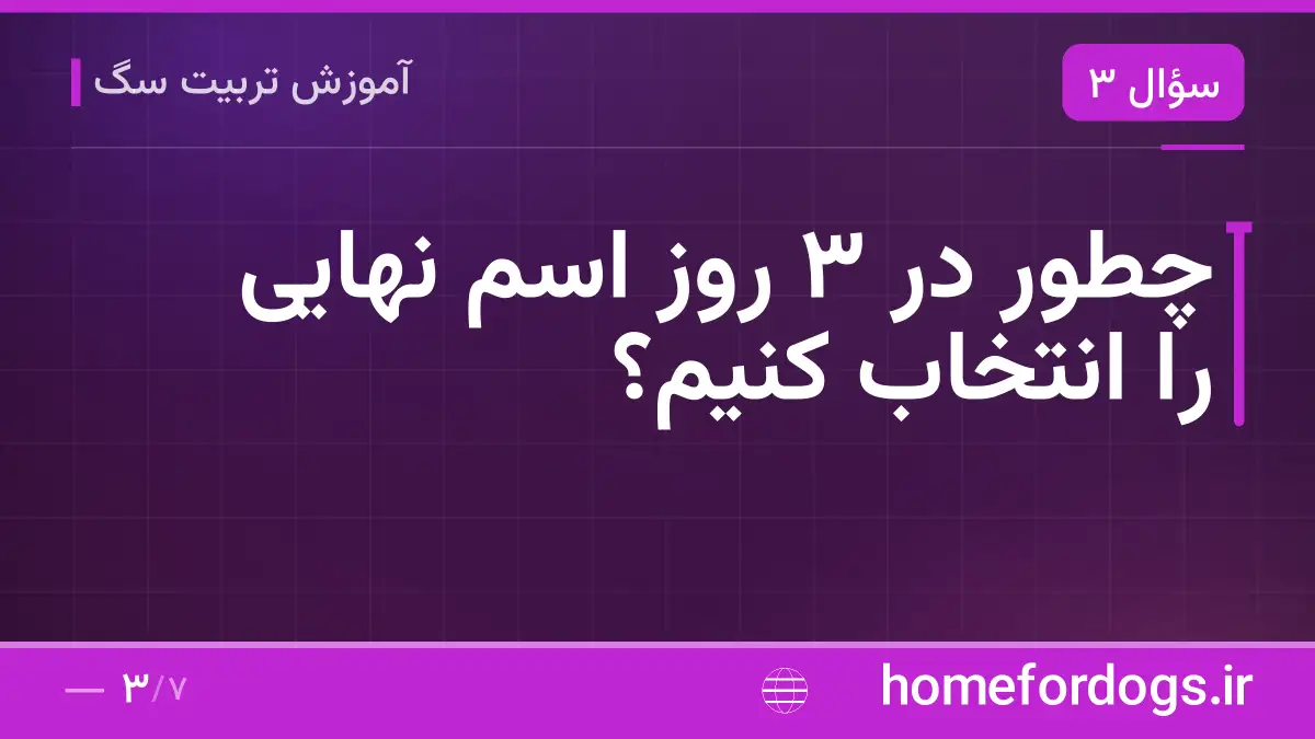 چطور در ۳ روز اسم نهایی را انتخاب کنیم؟