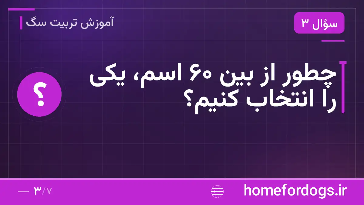 چطور از بین ۶۰ اسم، یکی را انتخاب کنیم؟