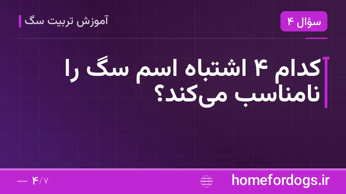 کدام ۴ اشتباه اسم سگ را نامناسب میکند؟