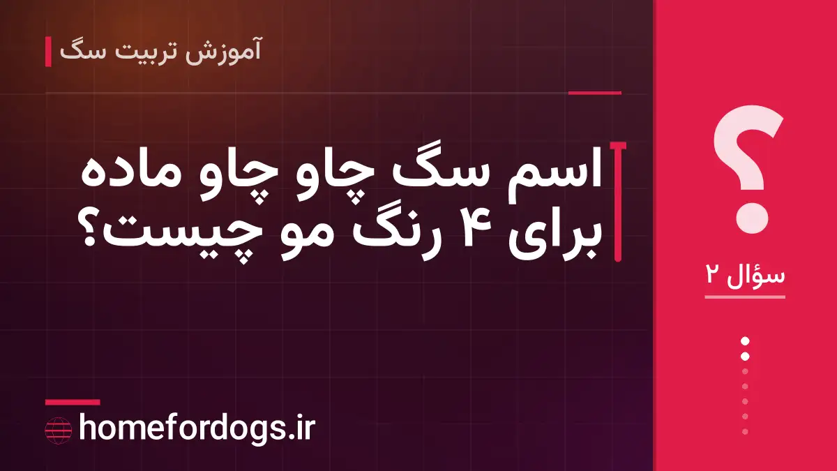 اسم سگ چاو چاو ماده برای ۴ رنگ مو چیست؟