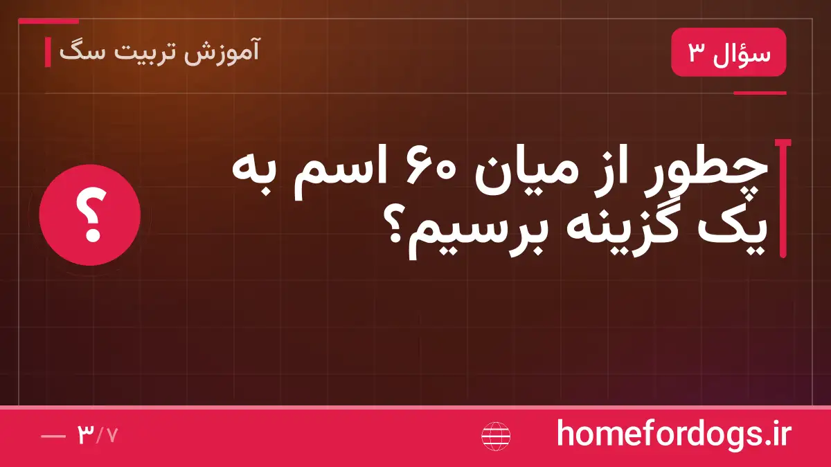چطور از میان ۶۰ اسم به یک گزینه برسیم؟