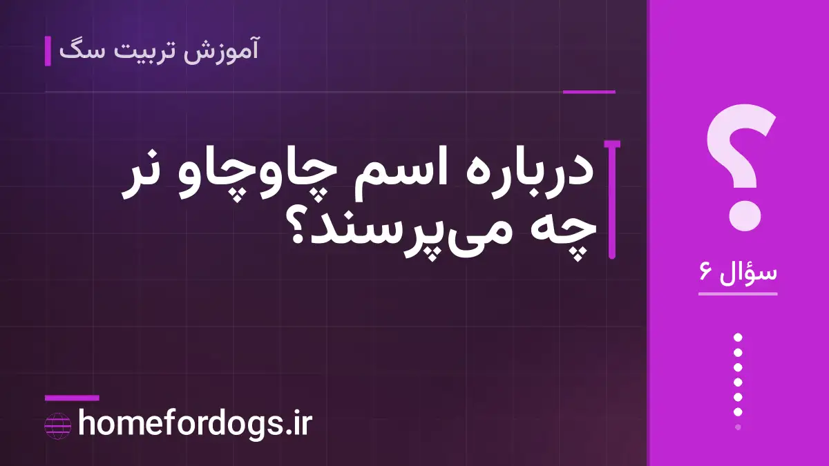 دربارهٔ اسم چاوچاو نر چه می‌پرسند؟