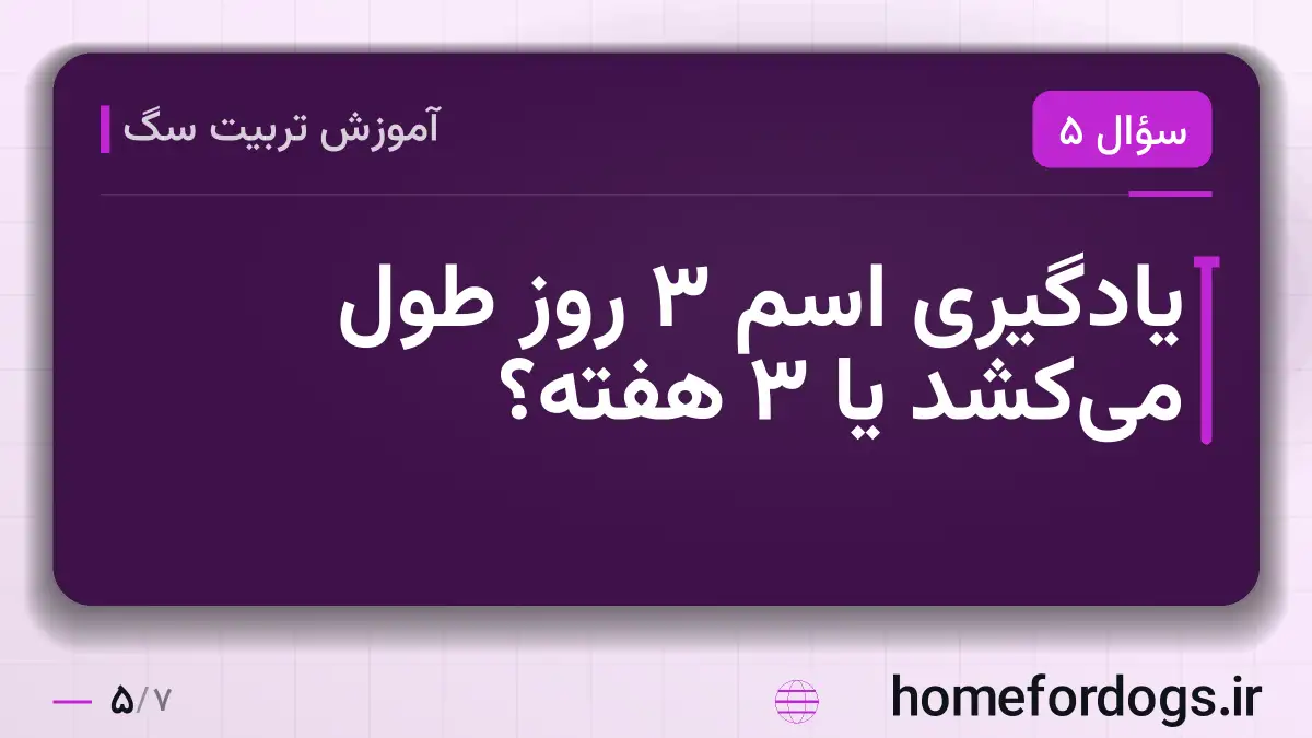 یادگیری اسم ۳ روز طول می‌کشد یا ۳ هفته؟