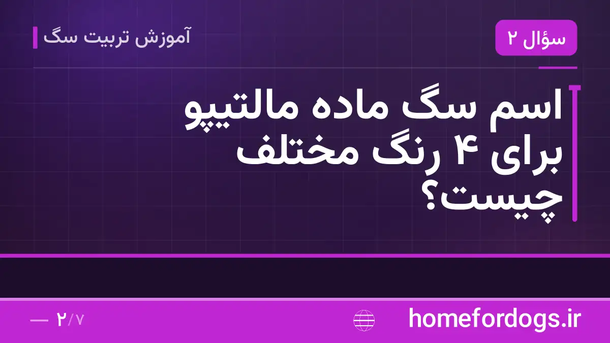 اسم سگ ماده مالتیپو برای ۴ رنگ مختلف چیست؟