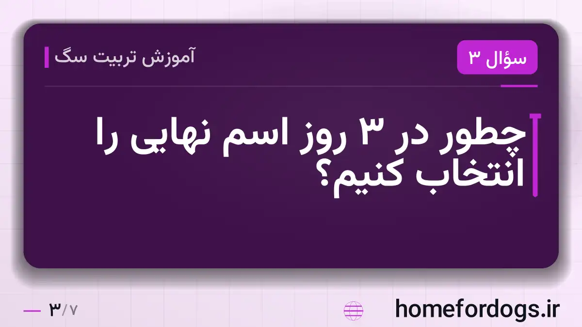 چطور در ۳ روز اسم نهایی را انتخاب کنیم؟