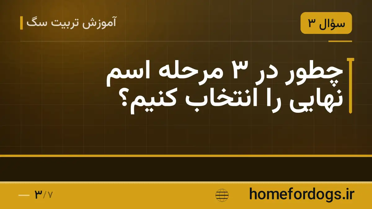 چطور در ۳ مرحله اسم نهایی را انتخاب کنیم؟