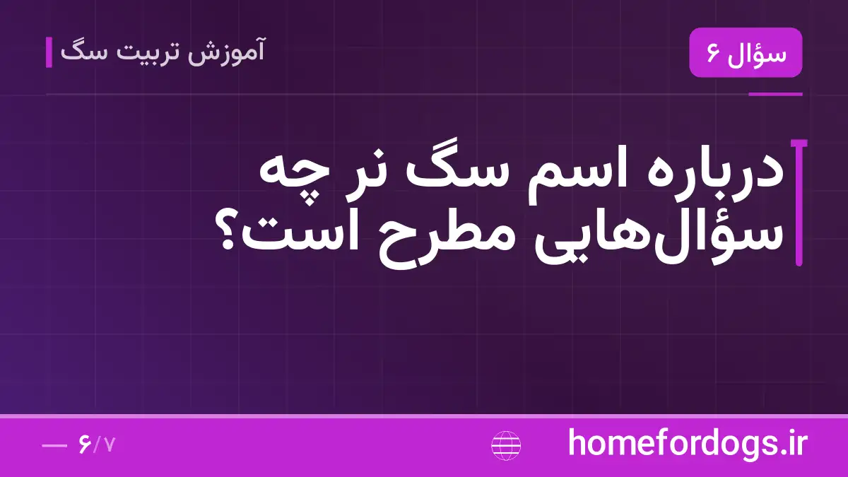 درباره اسم سگ نر چه سؤال‌هایی مطرح است؟