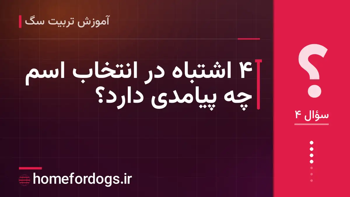 ۴ اشتباه در انتخاب اسم چه پیامدی دارد؟