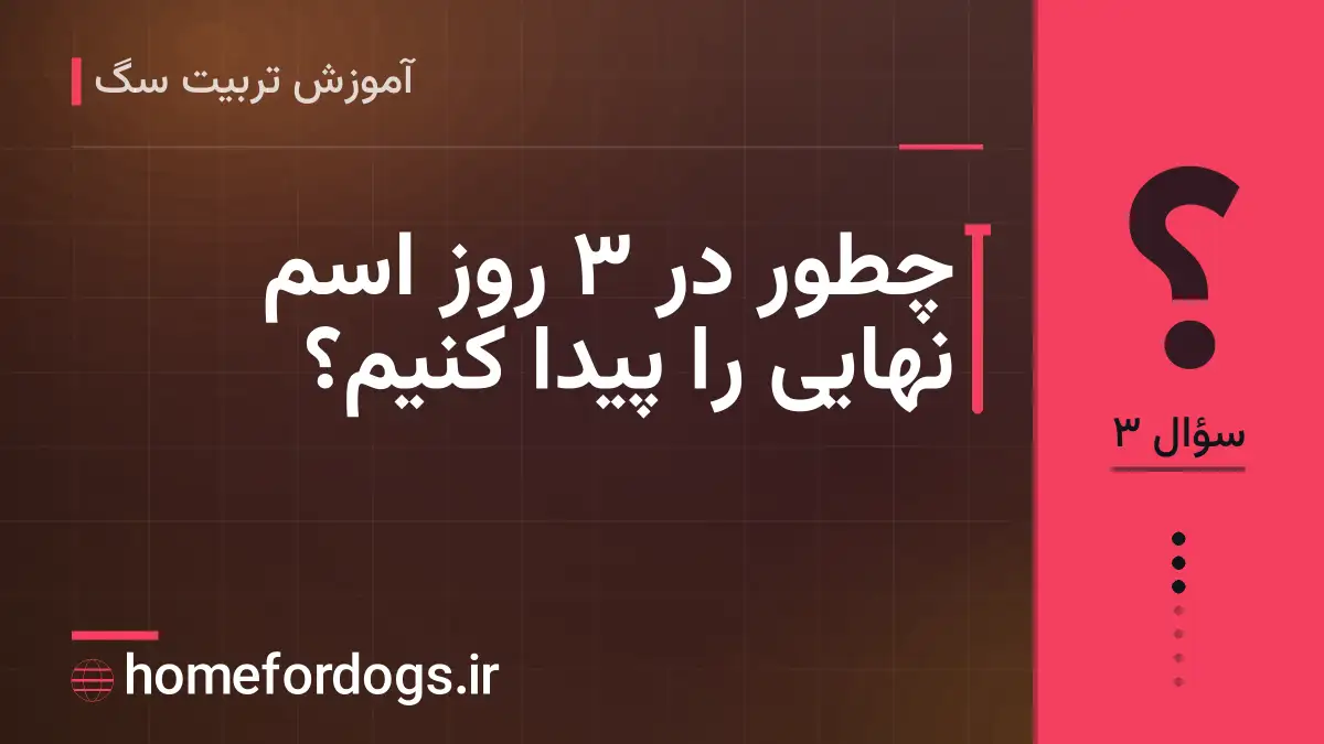 چطور در ۳ روز اسم نهایی را پیدا کنیم؟