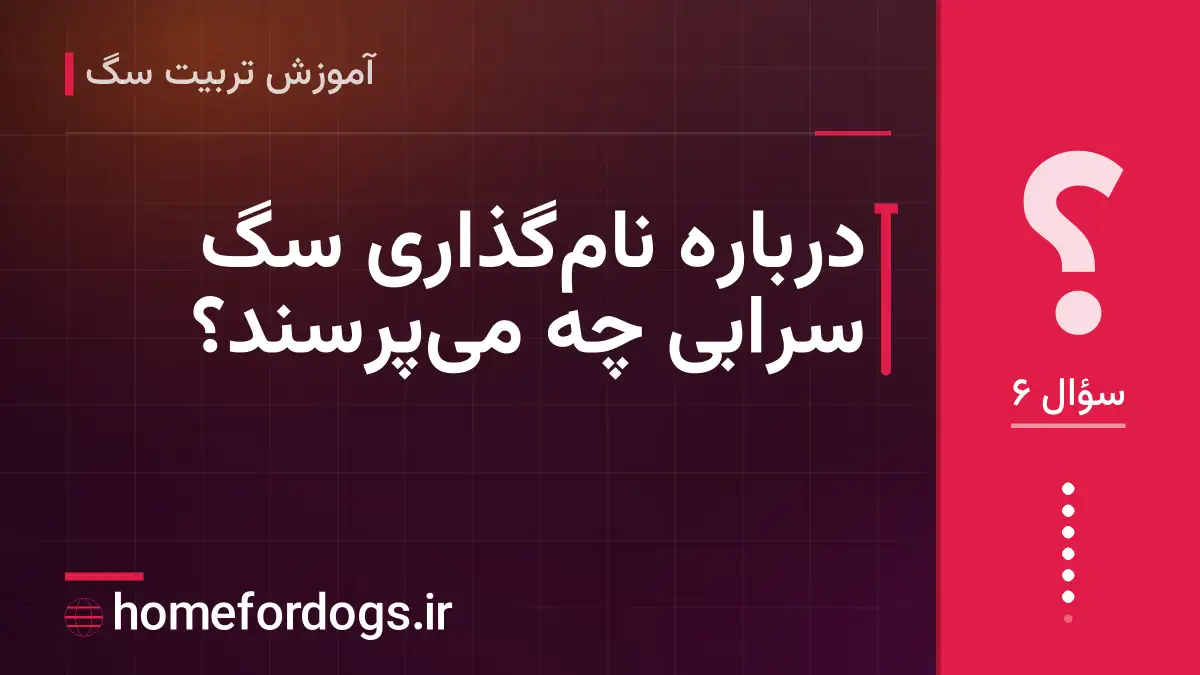 درباره نامگذاری سگ سرابی چه میپرسند؟